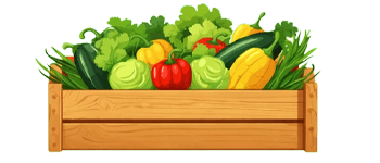 Vegetable Box