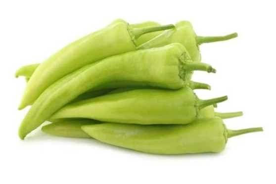 Capcicum